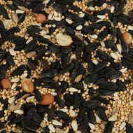 Birds of a Feather Songbird Seeds, Nuts and Fruits