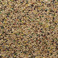 Acapulco Canary Blend Bird Seed