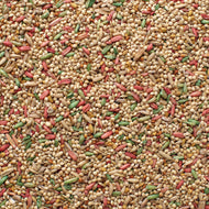 Acapulco Parakeet Blend Bird Seed