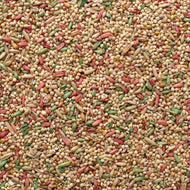 Acapulco Parakeet Blend Bird Seed