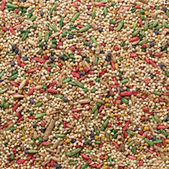 Grains Plus Parakeet Blend Bird Seed