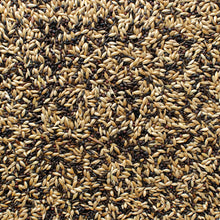 All Natural Canary Blend Bird Seed