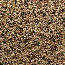 Grains Plus Canary Blend Bird Seed
