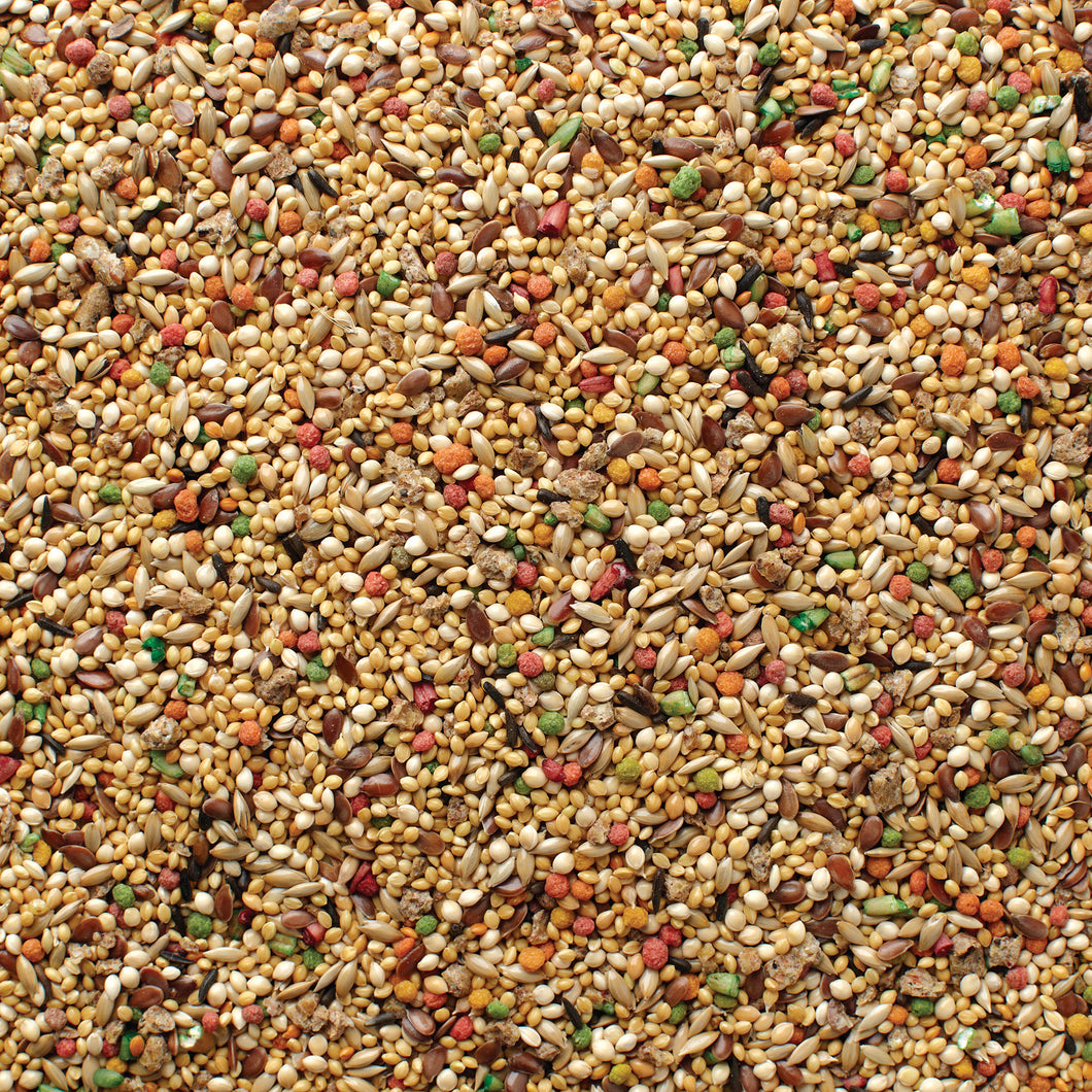 Grains Plus Finch Blend Bird Seed
